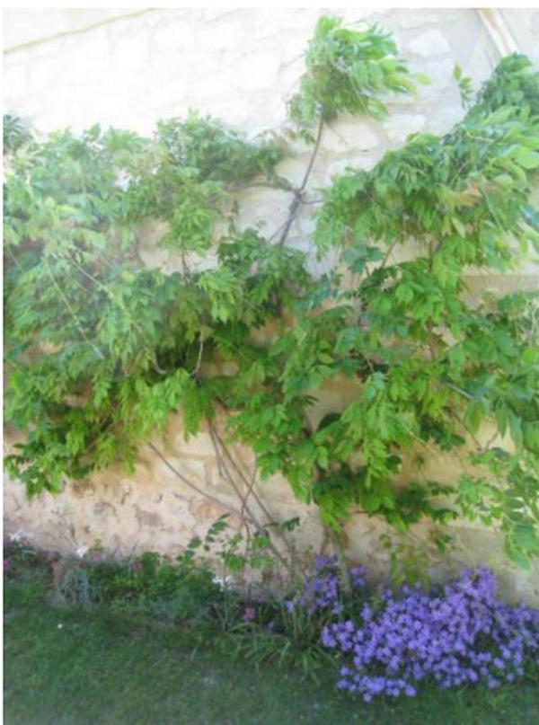 Le Clos De La Chapelle - Gite Les Glycines Εξωτερικό φωτογραφία